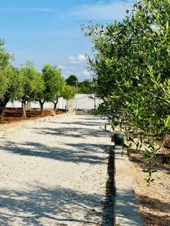 Trulli Muolo - Monopoli - 2