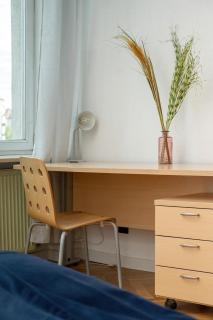 Przytulny Apartament Legionów z Parkingiem by Noclegi Renters - Breslavia - 1