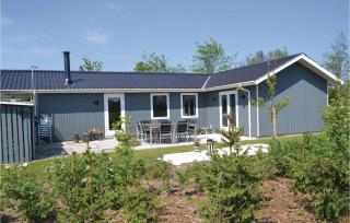 Holiday Home Tarm With Fireplace 02 - Fjerbæk - 6