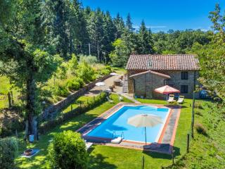 Apartment Certina 3 by Interhome - Pelago - 0
