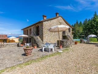 Apartment Certina 3 by Interhome - Pelago - 3