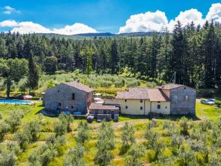 Apartment Certina 4 by Interhome - Pelago - 4