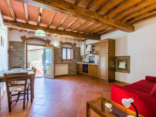 Apartment Certina 1 by Interhome - Pelago - 6