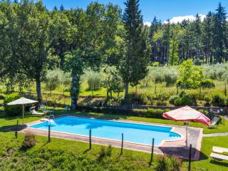 Apartment Certina 1 by Interhome - Pelago - 8