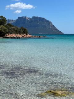Flat Flumendosa 31 - Olbia - 6