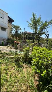 Greek Mansion - Nea Moudania - 5