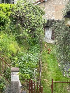 Family House - 7