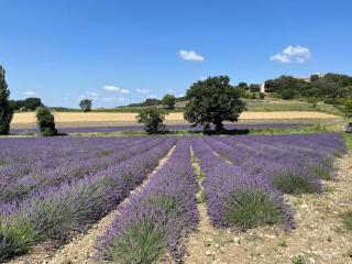Maison de vacances avec piscine à Grignan-Drôme provençale - Grignan - 5