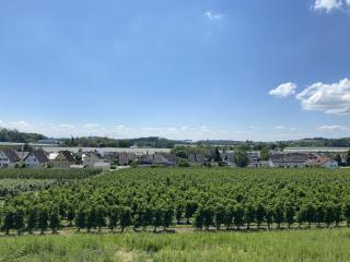 Haus Apfelwiese - Friedrichshafen - 9