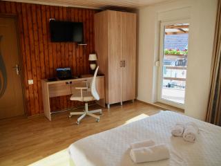 Holiday House Valiug - 2