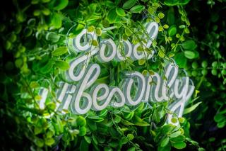 La CasaVerde de Bergerac ! - 1