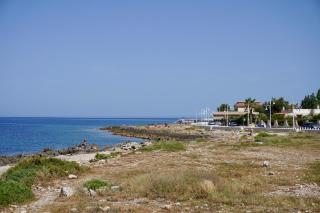 Mamma Cuda - Isola delle Femmine - 2