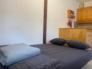 Studio cosy au cœur de Samoëns, proche commerces et ski bus, balcon, parking, animaux acceptés - FR-1-624-157 - Samoëns - 1
