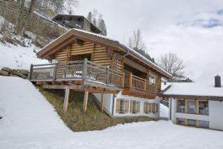 Schöneben Chalet Ferienwelt - Wald im Pinzgau - 4