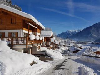 Schöneben Chalet Hohe Tauern Blick - Wald im Pinzgau - 8