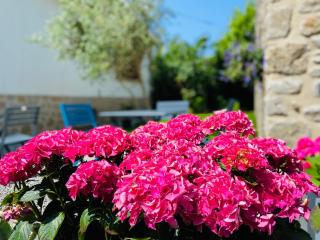 Hotel Saint-Michel - Dinard - 7