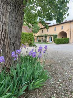 Agriturismo La Volta - Cascina - 9