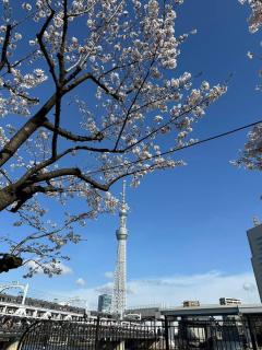 東京雷門ー千の森Asakusa - Tokyo - 9