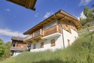 Schöneben Heidi's Alm Hütte - Wald im Pinzgau - 7
