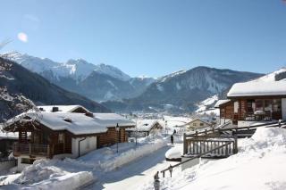 Schöneben Haus Arnika - Wald im Pinzgau - 0