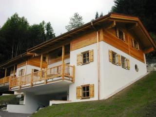 Schöneben Berghütte - Wald im Pinzgau - 7