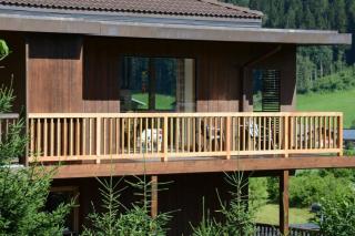 Schöneben Haus Wikinge - Wald im Pinzgau - 1