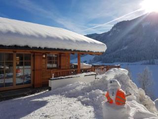 Schöneben Chalet MiJoBa - Wald im Pinzgau - 8