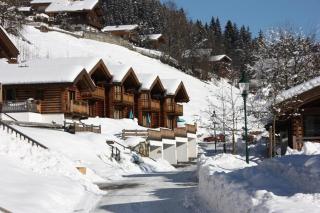 Schöneben Haus Silberdistel - Wald im Pinzgau - 5