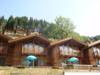 Schöneben Haus Silberdistel - Wald im Pinzgau - 7
