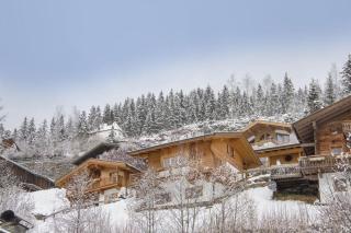 Schöneben Chalet Schöneck - Wald im Pinzgau - 2