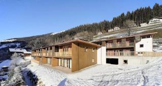 Schöneben Haus Edelweiss - Wald im Pinzgau - 7