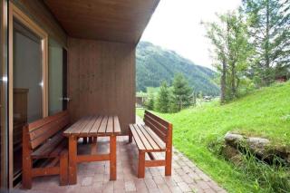 Schöneben Haus Edelweiss - Wald im Pinzgau - 6