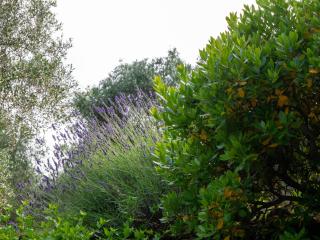 Agri Borgata Vallone - Apartments - by HOST4U - Lecchiore - 4