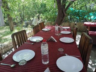 Hotel Samyas - Khalatse - 9