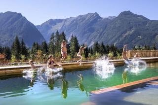 Nationalpark Chalet Grosser Hexenkopf - Neukirchen am Großvenediger - 5
