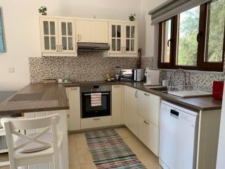 Magnolia CAPTAINS HOUSE with A POOL - Limassol - 6