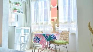 Islandia studio - Torrevieja - 8