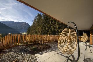 Nationalpark Chalet Schneespitze - Neukirchen am Grossvenediger - 6