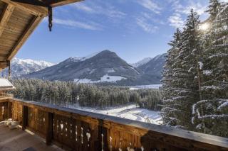 Nationalpark Chalet Schneespitze - Neukirchen am Grossvenediger - 4