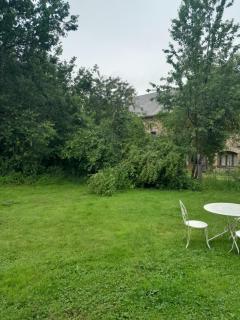 La petite Salamandre bleue - 3