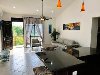 Spacious 2 Bed 2 Bath L Great Walking Score - Jacó - 8
