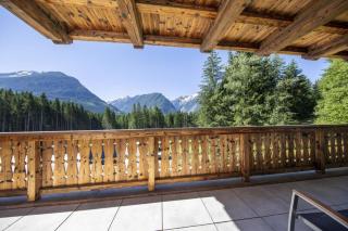 Nationalpark Chalet Reichenbergerspitze - Neukirchen am Grossvenediger - 1