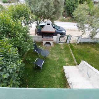 Olive Tree Villa - Nikiti - 8