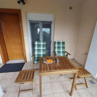 Olive Tree Villa - Nikiti - 7