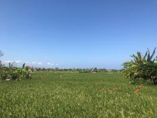 Ketewel Bed & Breakfast Niti Room - 3