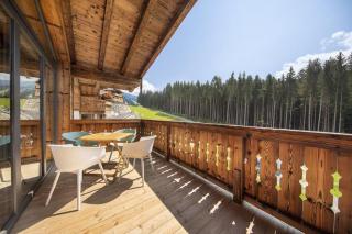 Nationalpark Chalet Kratzenberg - Neukirchen am Grossvenediger - 1