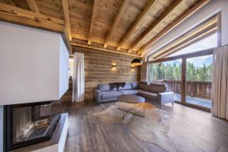 Nationalpark Chalet Ochsenbug - Neukirchen am Grossvenediger - 9