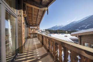 Nationalpark Chalet Rötspitze - Neukirchen am Grossvenediger - 2