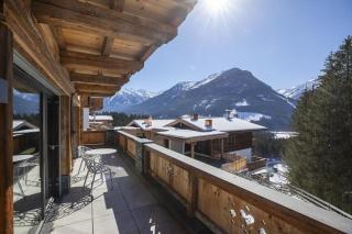 Nationalpark Chalet Rosenspitze - Neukirchen am Grossvenediger - 7