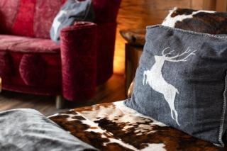 Nationalpark Chalet Kristallwand - Neukirchen am Grossvenediger - 4